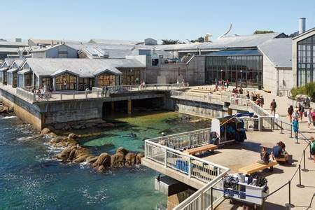 Cannery Row Experience~8 Aquarium Passes & Parking UPDATED 2019 - TripAdvisor - Monterey ...