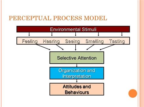 Perception & personality