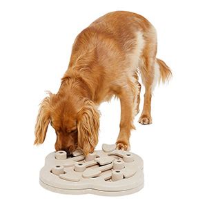 Top 5 Treat Dispensing Dog Toys For Your Dog - Pet Food Guide