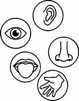 My Five Senses Coloring Pages Free Printable sketch template