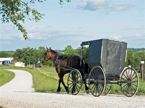 Swartzentruber Amish-Raised Man Shares The Bad Sides Of His Amish Life - Amish America