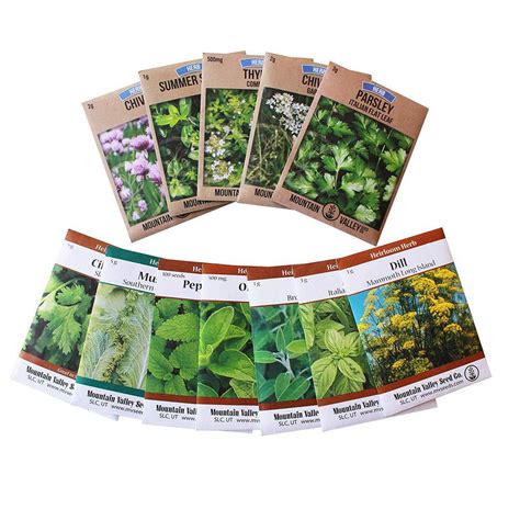 Mountain Valley Seed Company Grow Cooking Herbs, Parsley, Thyme, Cilantro, Basil, Dill, Oregano ...