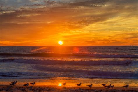 Venice Florida Sunset – Matthew Paulson Photography