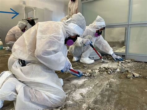 The Dangers of Delaying Asbestos Removal: Risks and Consequences – Scrypt-Generator