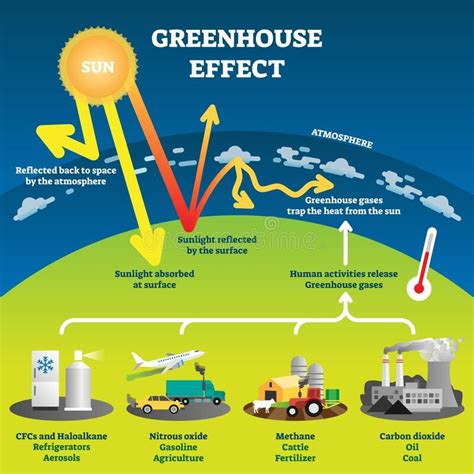 Greenhouse effect vector illustration diagram stock illustration | Greenhouse effect, Greenhouse ...