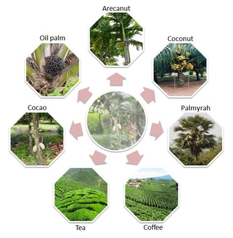 TNAU Agritech Portal :: Sustainable Agriculture