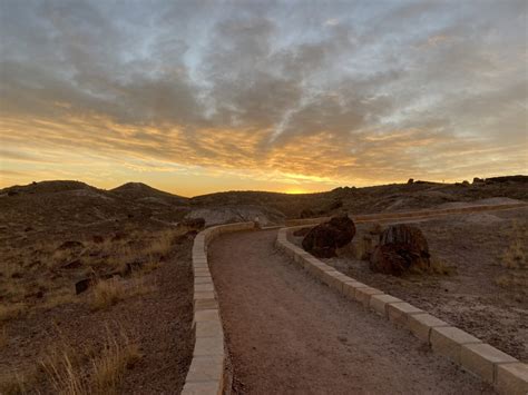 Visiting Petrified Forest National park: Best things to see and do.