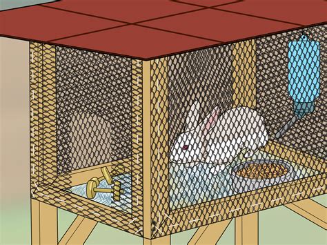 How to Build a Rabbit Hutch (with Pictures) - wikiHow