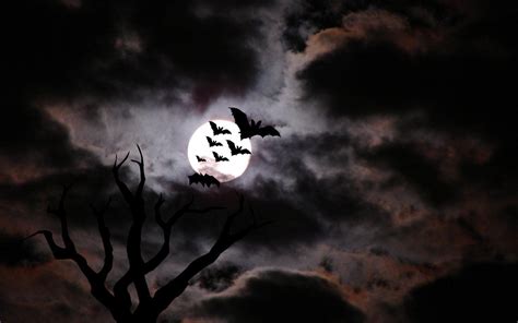 Scary Halloween Wallpapers Free - Wallpaper Cave