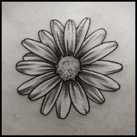 Pin by Teri Heger on Z. Daisy store | Daisy tattoo designs, Daisy tattoo, Tattoos