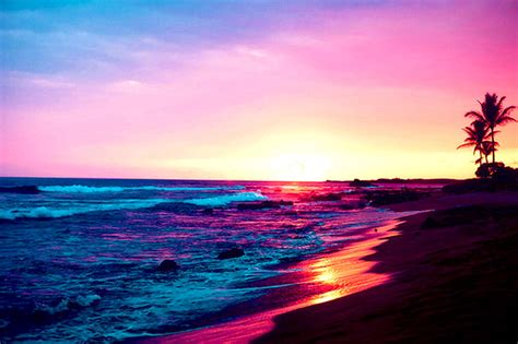 Hazy Sunset, beach, tree, purple, sunset, pink, sea, blue, HD wallpaper ...
