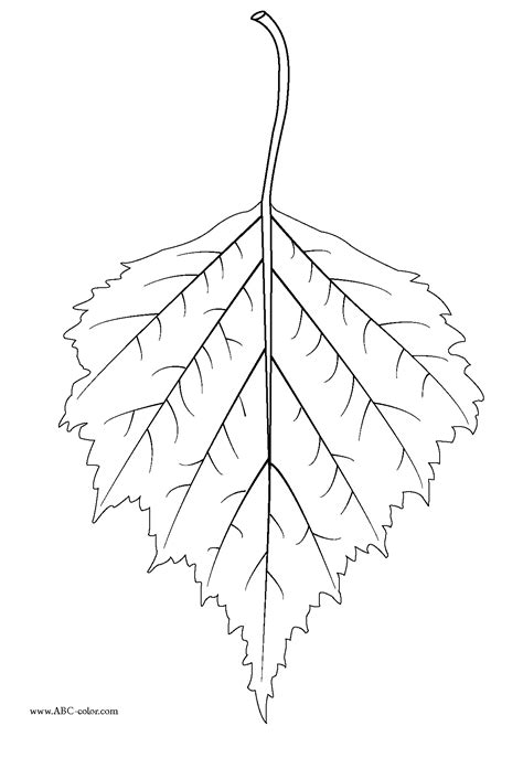 birch leaf | Birch tree tattoos, Family tree tattoo, Tree tattoo color