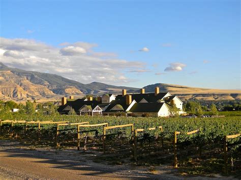 How to bike the Fruit and Wine Byway in Palisade, Colorado - Colorado Wine