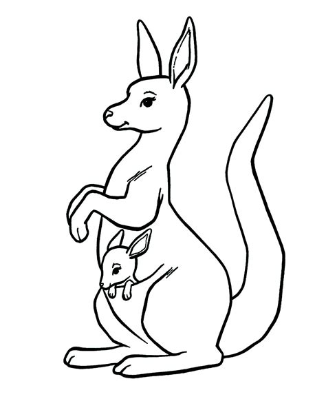 26 best ideas for coloring | Coloring Page Kangaroo