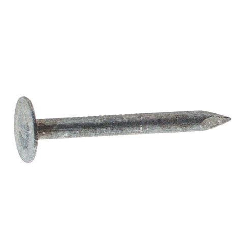 Grip-Rite #11 x 2 in. Electro-Galvanized Steel Roofing Nails (30 lb ...