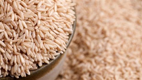 FDA Studying Arsenic Levels in Rice | News