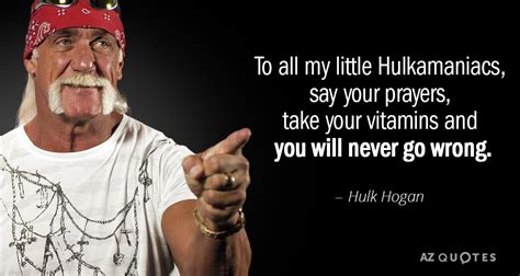 Hulk Hogan Brother Quotes