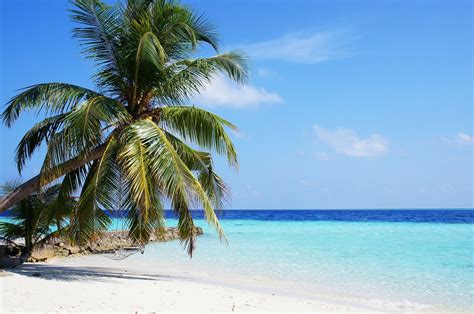 The Company Pioneering Ecotourism in the Maldives - Secret Paradise