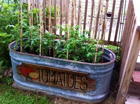 Rustic feed trough tomato bin with bamboo stakes- i had fun designing this by combining several ...