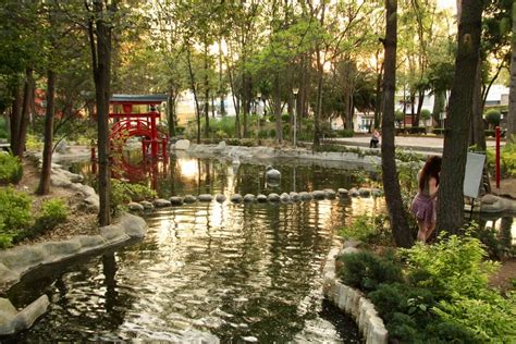 ¿Un jardín japonés en CDMX? La historia del Parque Masayoshi Ohira ...