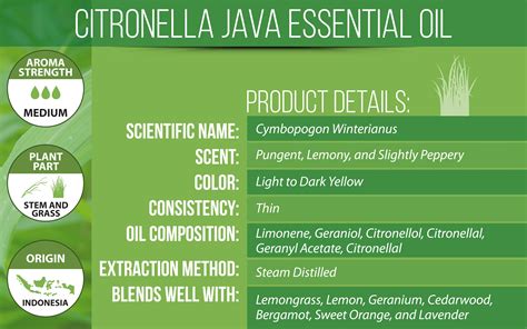 Citronella Essential Oil (Java) | Uses, Benefits & Blends | VINEVIDA