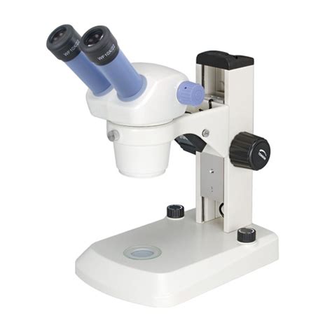 Stereo Microscope