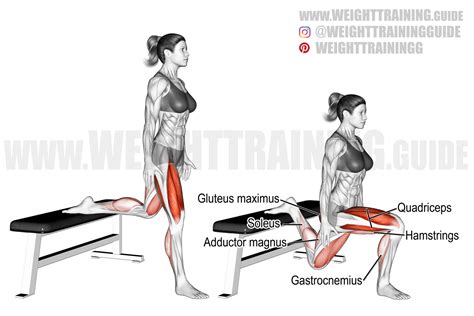 Bulgarian split squat exercise instructions and video | weighttraining.guide