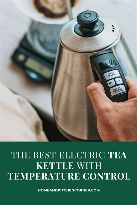 10 Best Electric Tea Kettles with Temperature Control to Buy - Reviews