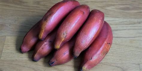 This Pink-Purple Banana Really Exists — And Its Delicious