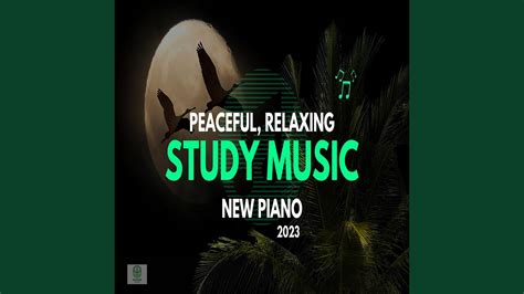 Study Music, Relaxing Piano Background Music - YouTube