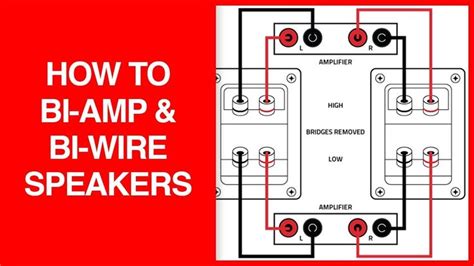 How to Bi-Amp and Bi-Wire Your Speakers | Home Audio Basics | Speaker, Speaker amplifier, Home audio