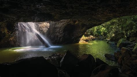 Springbrook National Park, Queensland | Things to do in Springbrook