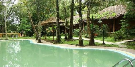 Jungle Village Thekkady| Eco Tourism - Indian Holiday