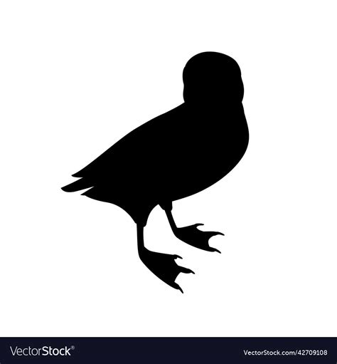 Black silhouette atlantic puffin bird cartoon Vector Image