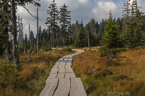 Krkonoše National Park - Alberto Torres Alves