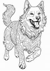 Premium Photo  A coloring Page Of dog Running With His tongue Open sketch template