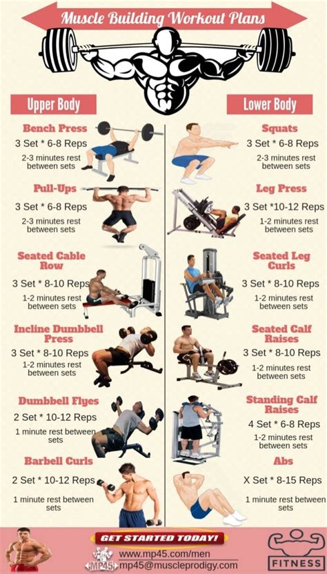 Muscle Building Workout Routine For Men