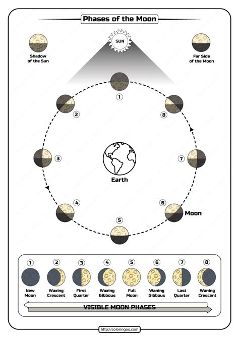 34 Phases Of The Moon Worksheet Pdf Support Worksheet | Images and Photos finder