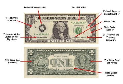 Parts of a Dollar Bill Diagram