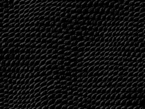 Black Snake Skin Wallpaper - WallpaperSafari