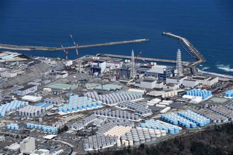 Toxic reaction to Japan’s Fukushima water dump | Lowy Institute