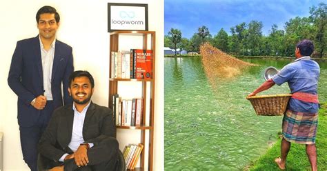 IIT-Roorkee Alumni Use Insects to Upcycle a Ton of Food Waste/Week Into Animal Feed