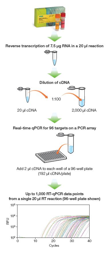 iScript™ Advanced cDNA Synthesis Kit for RT-qPCR | Life Science Research | Bio-Rad