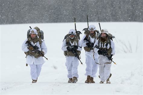 Snowy Training | Military | Before It's News