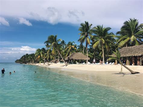 people are swimming in the ocean near palm trees