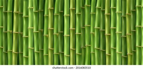 Details 100 bamboo background hd - Abzlocal.mx