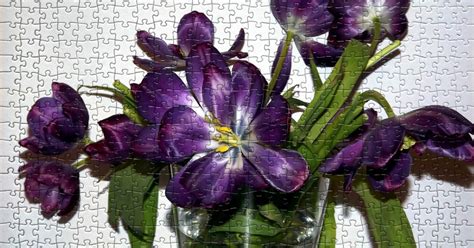 Flower Jigsaw Puzzles Online