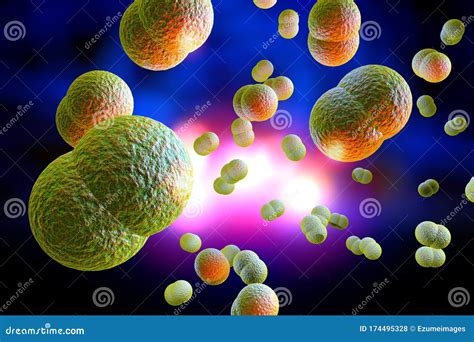 Meningitis Bacteria Infection 3D Illustration Stock Illustration ...