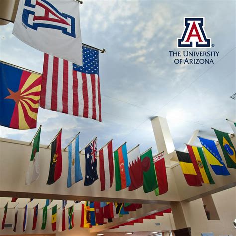 The University of Arizona Global | University Info | 46 Bachelors in ...