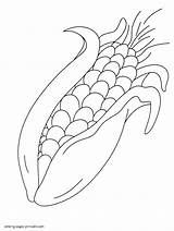 Printable Corn Coloring Page sketch template